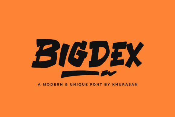 Bigdex: Elevating Visual Identity with Modern Bold Display Typography