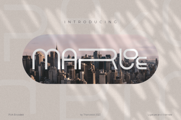 Marloe: Elevate Your Brand with Unique Display Typography