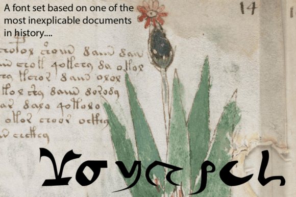 Voynich - Regular: Harnessing the Mystery of an Alien Script for Modern Design
